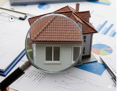 Investment appraisal and analysis work